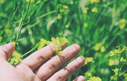 Hand against grass
