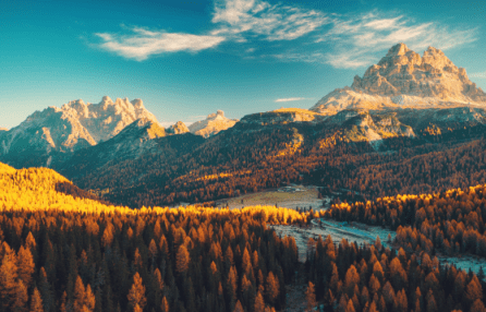 Mountain landscape with orange trees on a sunny day.