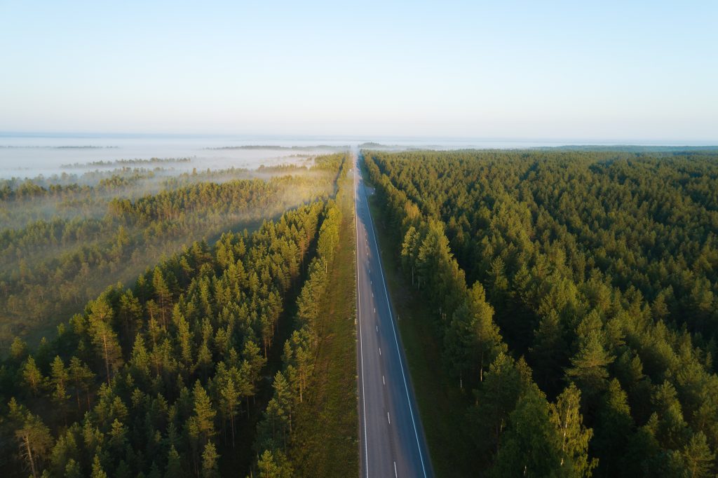 Image of road running through forest